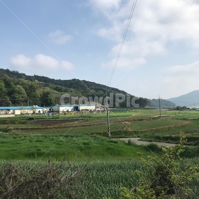 시골,시골밭,농촌,밭,시골길,맑은하늘,전봇대,창고,시골,마을,풍경,landscape,country,rural,town