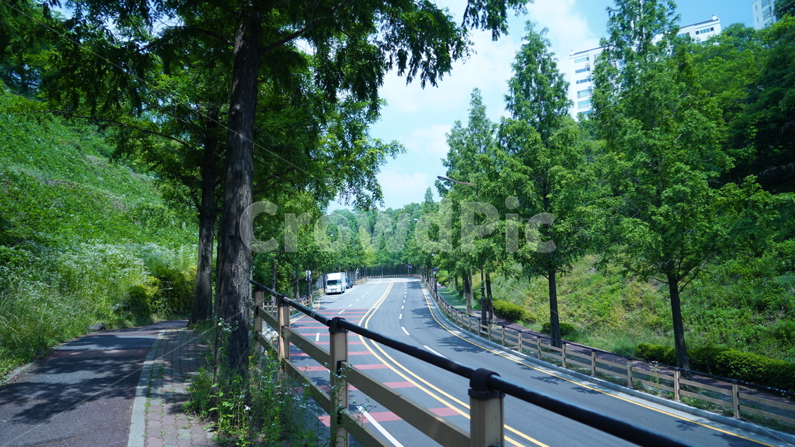 trees,street,나무,풀,거리