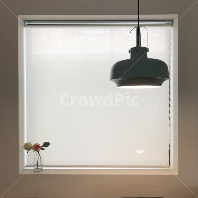 꽃,감상,조명,심픙,사각형,깔끔한,심플한,각진,카페,단아한,flower,light,네모,실내디자인,실내인테리어,인테리어,cafe