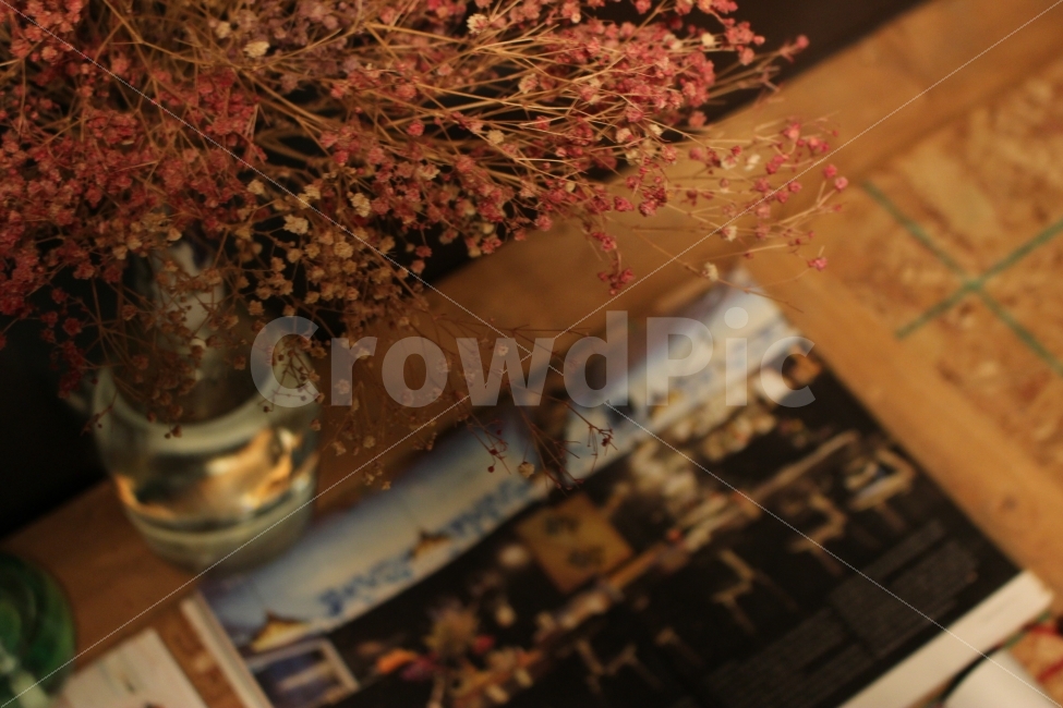 커피,카페,스페셜티,로스터리,인테리어,맛집,coffee,cafe,specialty,roastery,꽃,드라이플라워,안개꽃,소품,잡지,식물,자연,plants,nature,인테리어,실내디자인,interior design,감성,sensible,feeling,꽃,flower