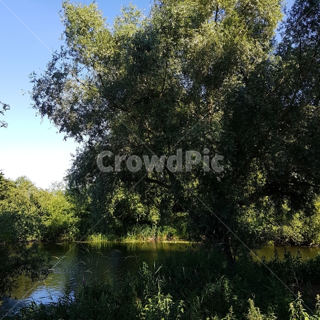 water,물,nature,자연,outdoors,옥외