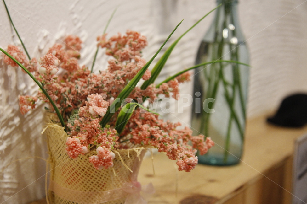 식물,장식,jar,plant,꽃,flower,이케바나,ikebana,병장식,flowerarrangement