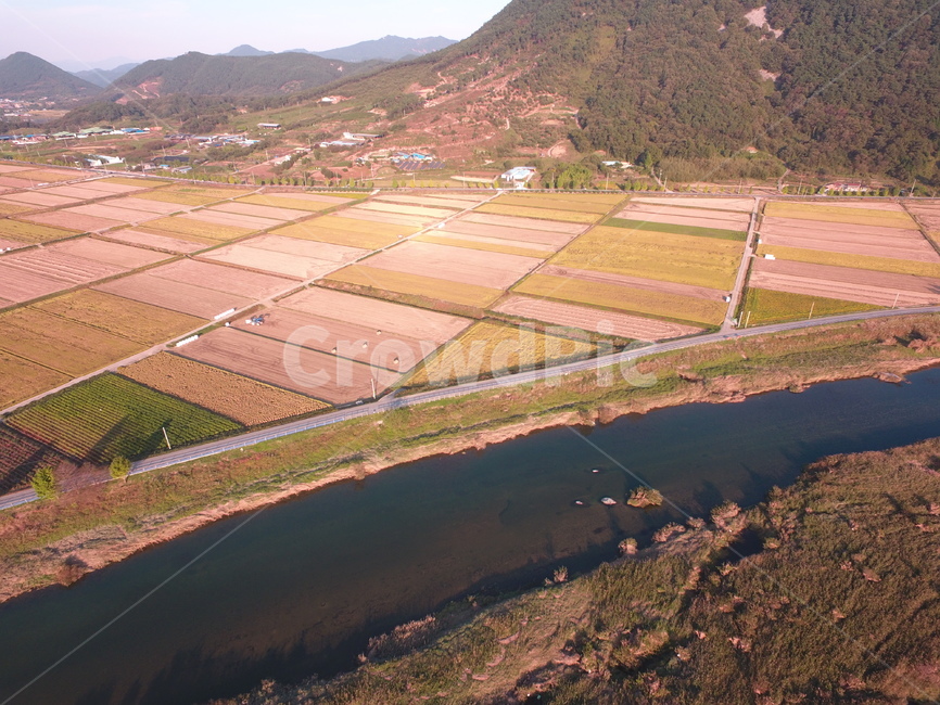 곡창지대,섬진강,논,벼,경작지,강,자연,자연,풍경,nature,landscape