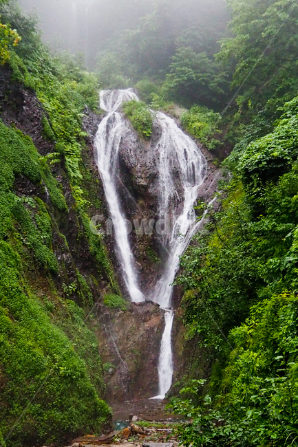 울릉도,봉래폭포,자연,폭포,ulleundo,waterfall,nature,자연,풍경,nature,landscape,river,강,water,물,outdoors,옥외