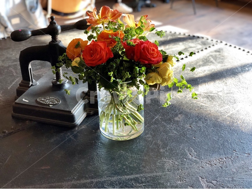 오후,그림자,꽃,테이블,강릉,햇빛,식물,자연,plants,nature,꽃,flower,실내용화초,화분,화초,house plant,인테리어,실내디자인,interior design