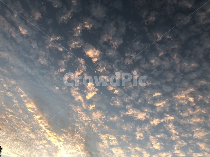 하늘,구름,양떼구름,노을,cloud,자연,풍경,nature,landscape,outdoors,옥외,sky