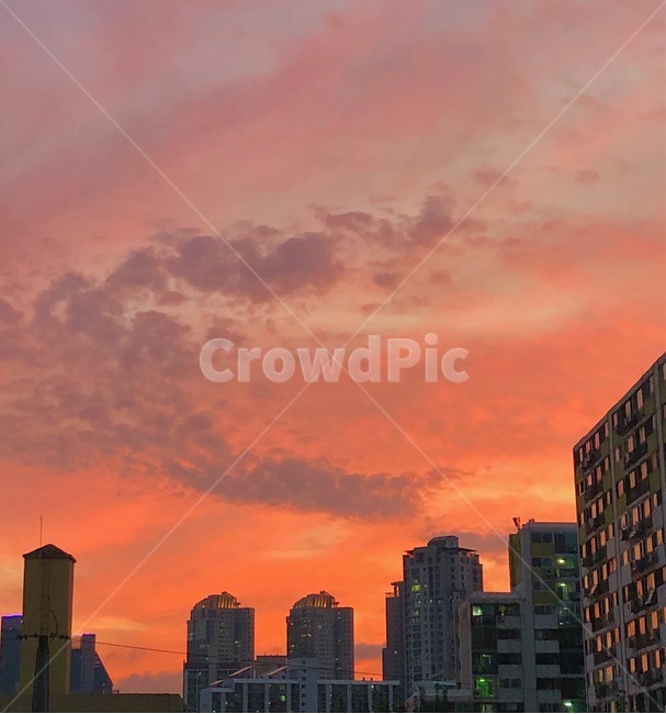 하늘,노을,풍경,밤하늘,저녁,저녁노을,선셋,스카이라인,아파트,도시,고요,차분,감성,일몰,해질녘,핑크하늘,구름