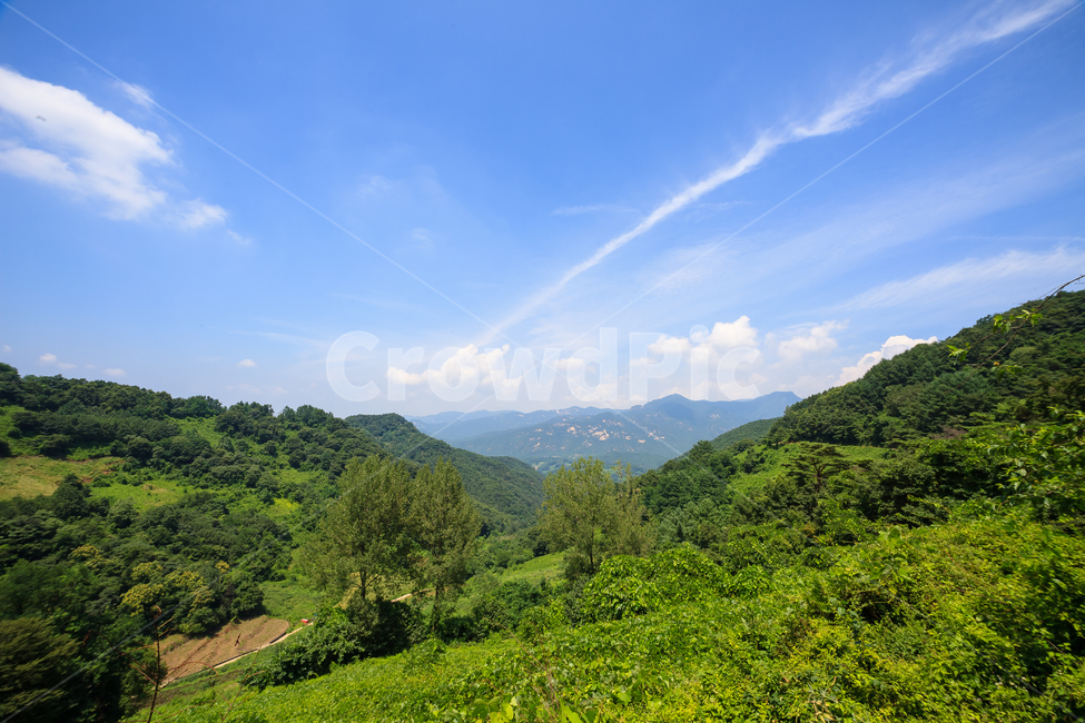 시골풍경,농촌,여름,환경,날씨,나무,구름,풍경,경치,자연,풍경,nature,landscape,outdoors,옥외