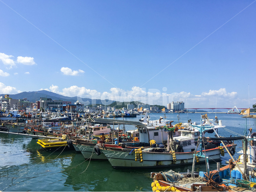 바다,항구,완도,배,선박,어촌,sea,boat,ship,korea,waterfront