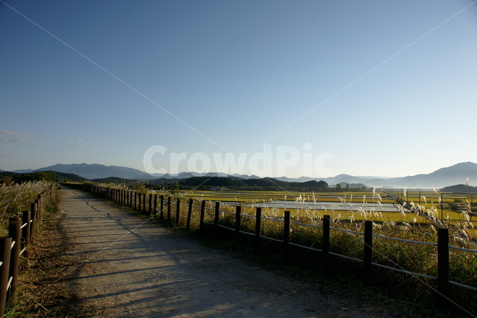 우포늪,대대제방,창녕,갈대,가을하늘,아침,자연,풍경,nature,landscape,building,건물,bridge,다리