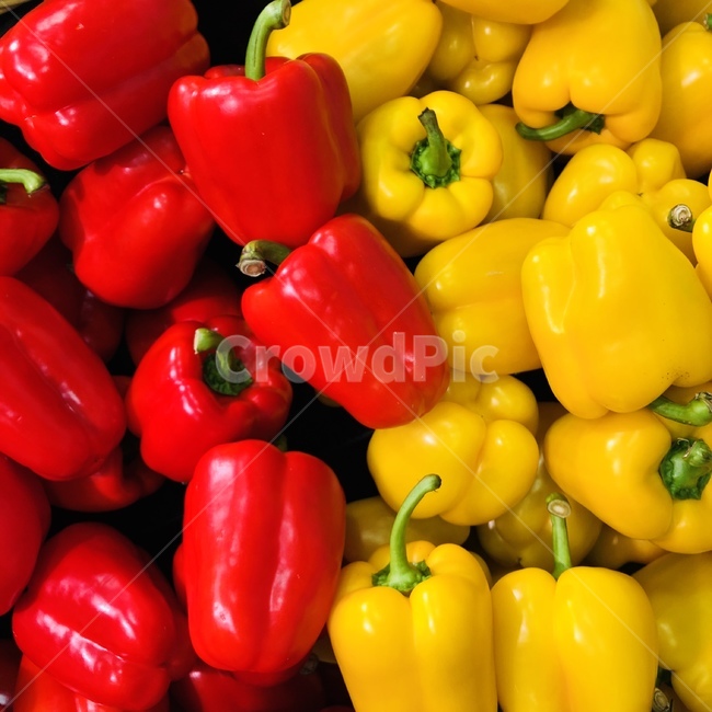 피망,파프리카,채소,parprika,red,yellow,빨강,노랑,vegetable,음식,식재료,요리,food,cook,meal,dishes,food reserves,채소,야채,vegetables