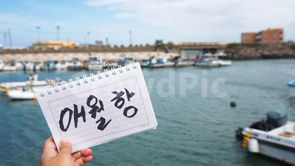 여행,travel,여행사진,국내여행,혼자여행,사진,배경사진,배경,이쁜사진,색감,색감좋은사진,제주도,제주도여행,제주,애월항,애월포구,바다,제주도,jeju,jeju island,사람,인물,인간,human,person,연출,컨셉,콘셉,direction,concept,text,본문