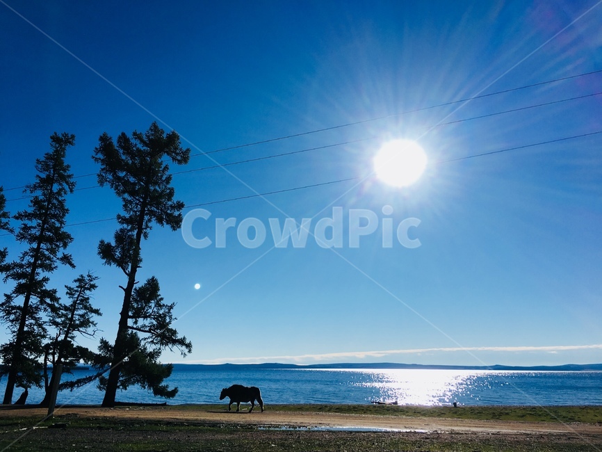 몽골,mongolia,강,nature,자연,outdoors,옥외,감성사진,감성,feeling,lake,그림자,shadow,윤슬,하늘,sky,weather,날씨,cumulus,적운,water,물,말,horse,sunlight,햇빛
