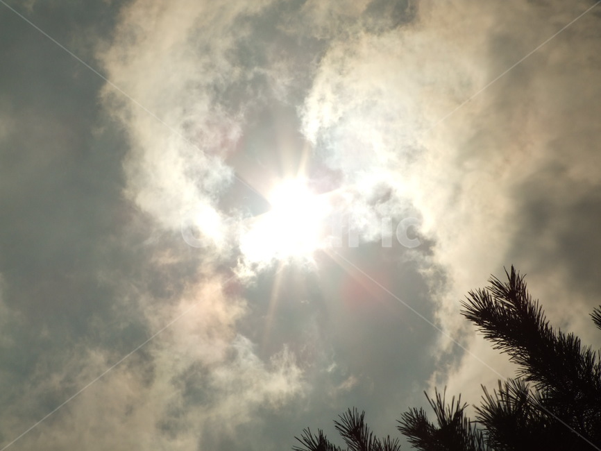 태양,일식,하늘,햇빛,산란,자연,풍경,nature,landscape,light,빛,flare,플레어,sunlight