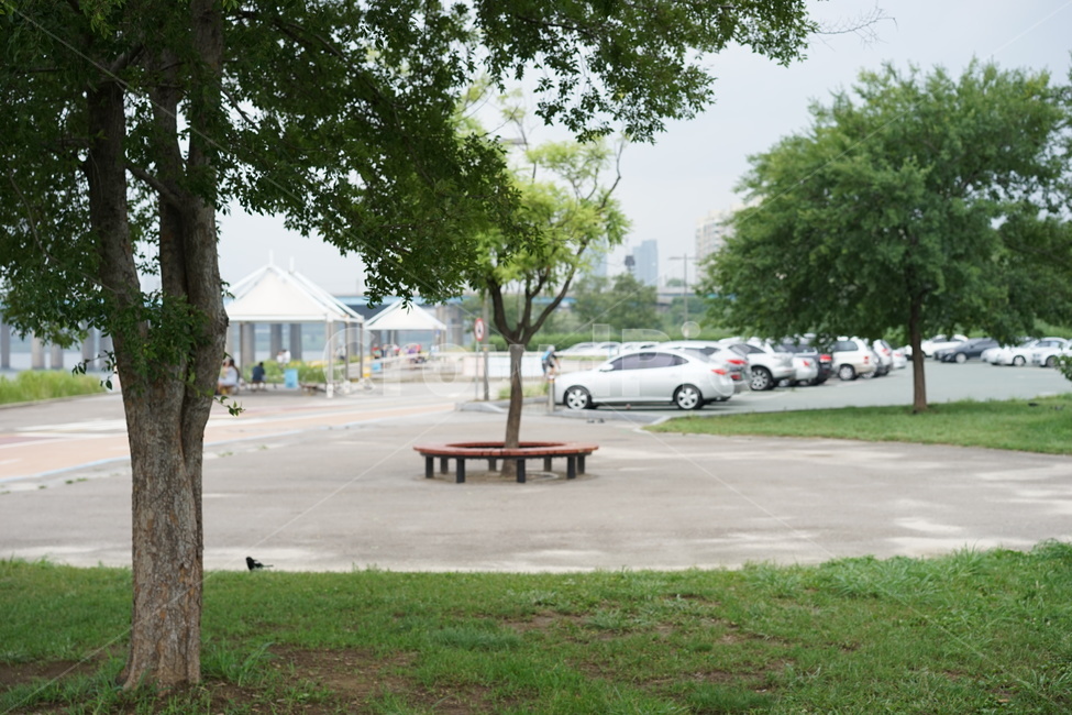 한강,공원,벤치,빈의자,나무,자연,풍경,nature,landscape,bench,transportation,교통,automobile,자동차,vehicle,차량,car,차,grass,잔디,plant,식물