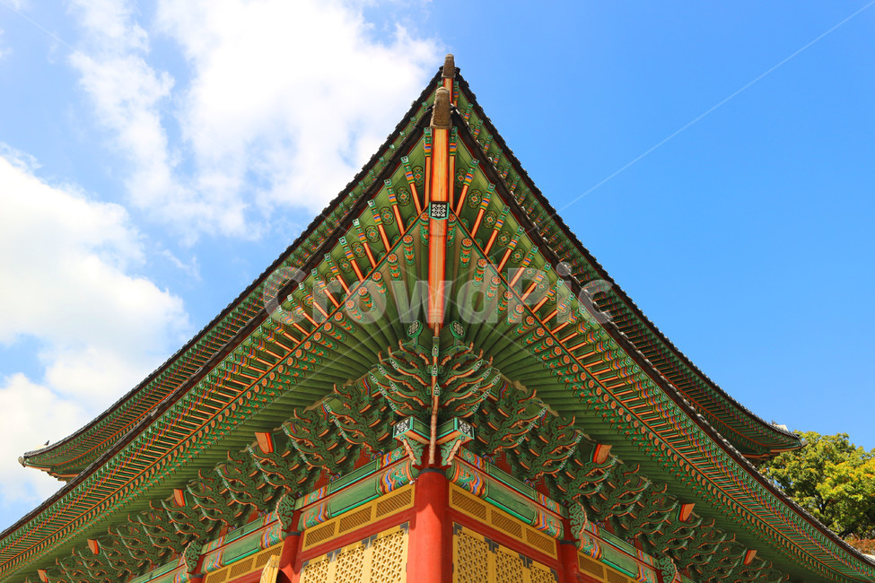 창경궁,처마,궁궐,조선시대,관광,changgyeonggung,palace,tourism,seoul