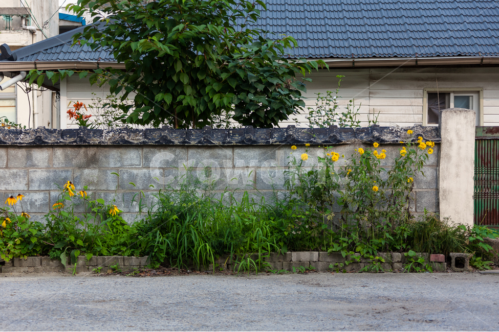농촌,시골풍경,여름,농업,시골,시골,마을,풍경,landscape,country,rural,town