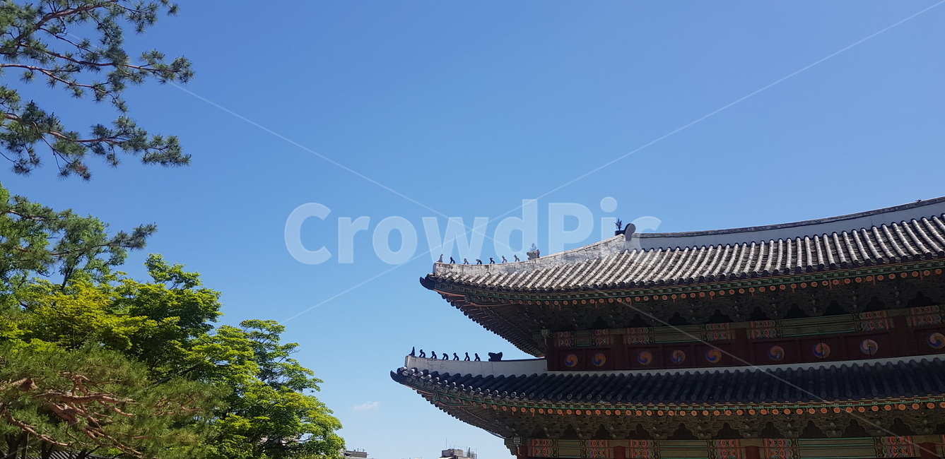궁궐,전통,한옥,기와,traditional,한국,korea,korean