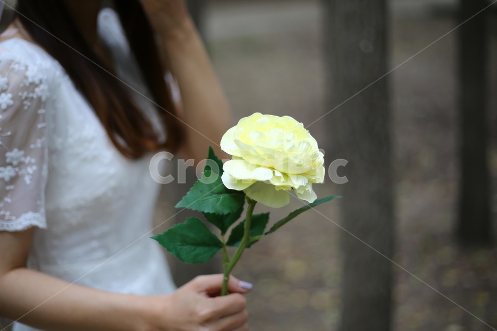 프로포즈,프로포즈촬영,웨딩부케,꽃부케,서울숲,기쁜날,flowerbouquet,flower,wedding,weddingflower,blossom,forest,신랑신부,신부,신랑,신혼,신혼부부,웨딩드레스,웨딩촬영