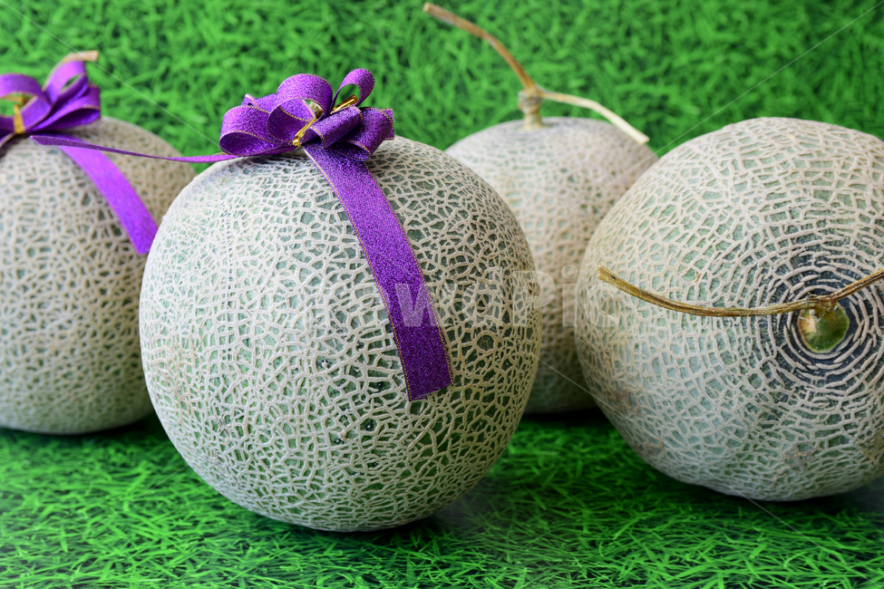 멜론,메론,과일,열대과일,식재료,리본,박과,열매,melon,fruit,food,음식,식재료,요리,food,cook,meal,dishes,food reserves,과일,열매,fruit