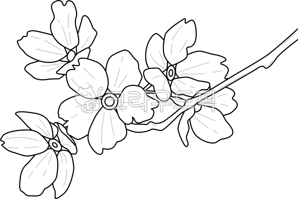 flower sketch,cherry blossom illustration,Cherry Blossom,nature,cherry blossom design,spring illustration,spring flower illustration,flower design,spring flower design,nature illustration,spring pattern,flower,spring,spring flowers,cherry blossom line,flo