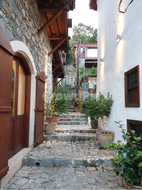 path,통로,walkway,sidewalk,보도,판석,pavement,포장