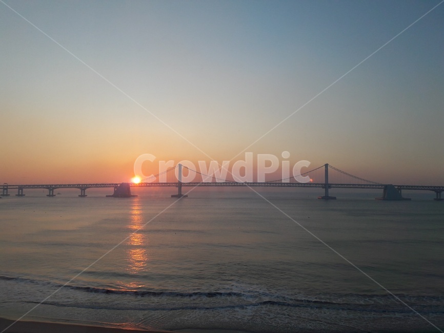 일출,바다,해,sun,sea