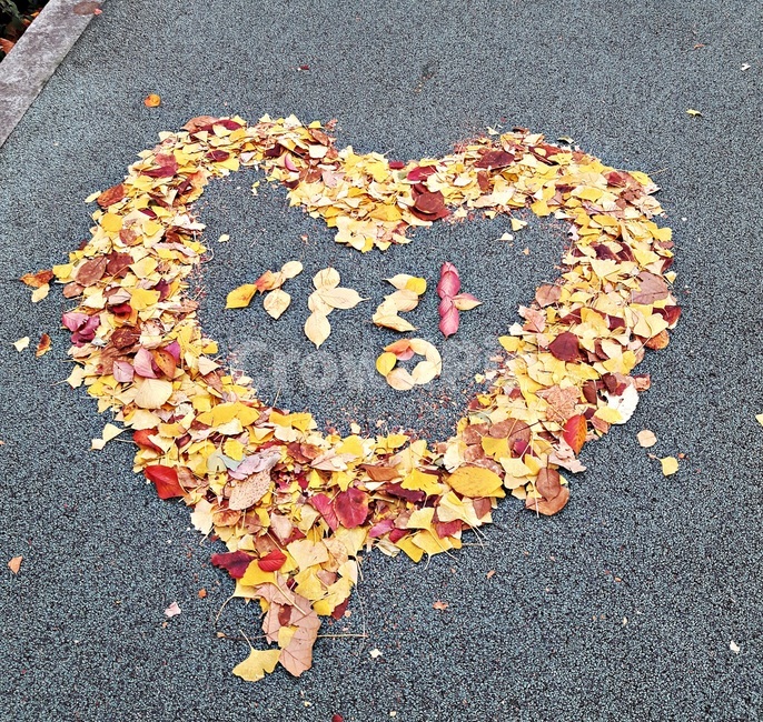 낙엽,가을,나뭇잎,하트,사랑,심장,단풍,단풍잎,fallen,leaves,maple,heart,love,로맨틱,romantic,가을,계절,fall,autumn,season,감정표현,기분,feeling,emotion,asphalt,아스팔트,leaf,잎,plant,식물,ground,바닥