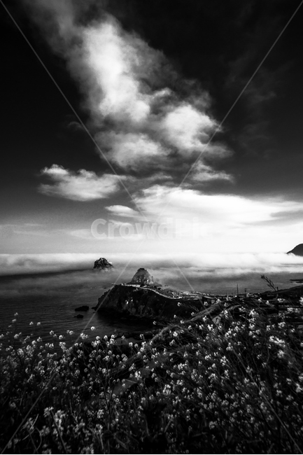 흑백,오륙도,해무,바다,스카이워크,부산,유채꽃,자연,풍경,nature,landscape,한국자연풍경,한국자연경관,korea nature landscape,흑백,모노톤,monochrome,black and white,weather,날씨,outdoors,옥외