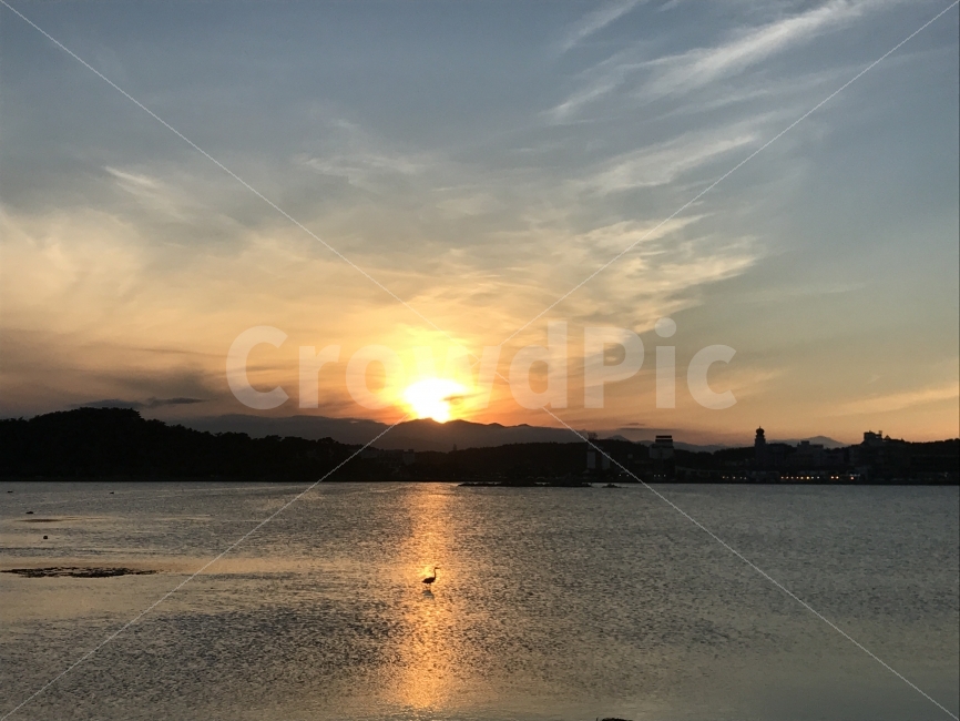 일몰,강원도,강릉,경포호수,두루미,자연,풍경,nature,landscape,outdoors,옥외,sunlight,햇빛