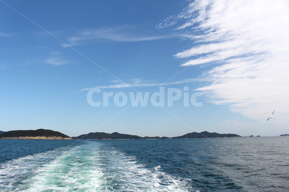 바다,갈매기,하늘,새,물길,구름,cloud,파도,파란색,sea,seagull,sky,bird,waterway