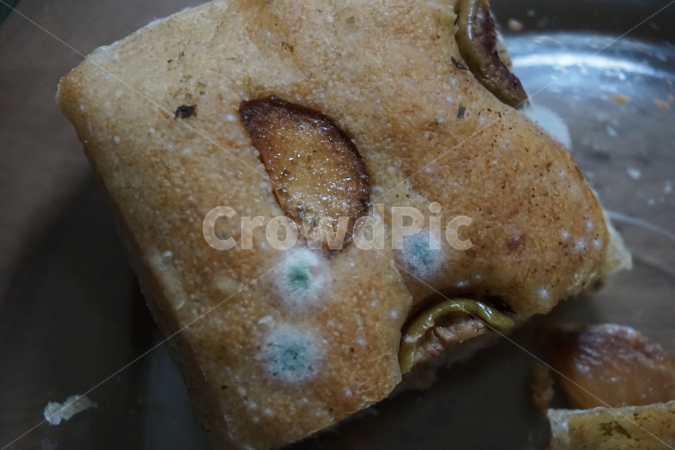 mold,곰팡이,식중독,상한음식,비위생,음식,식재료,요리,food,cook,meal,dishes,food reserves,빵,bread,디저트,간식,후식,dessert,snack