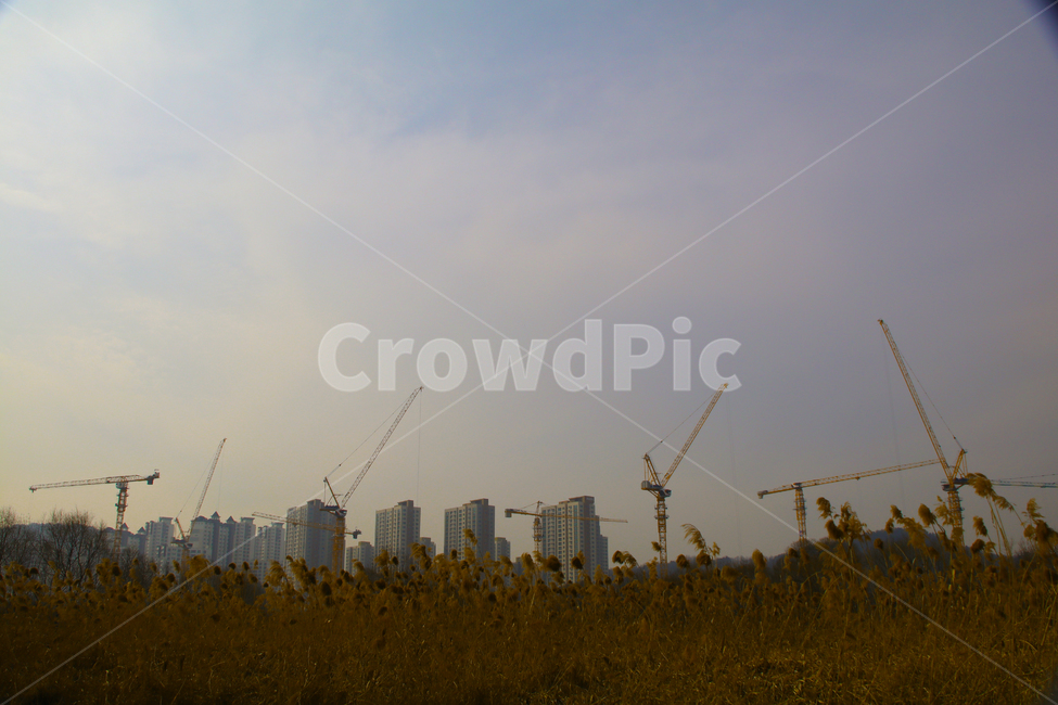 하늘,공사,산업,크레인,건설,아파트,기중기,산업,industry,industrial,건설업,건축업,construction industry