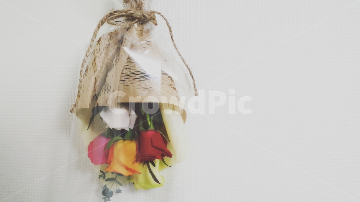 꽃,감성,선물,감성사진,사물,식물,자연,plants,nature,꽃,flower,인테리어,실내디자인,interior design