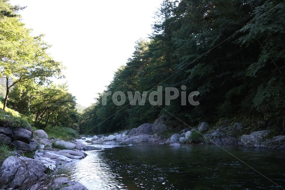 여름,휴가,계곡,물,나무,식물,초록,돌,바위,summer,natsu,vacation,kyuuka,valley,keikoku,water,mizu,tree,ki,plants,shokubutsu,green,midori,stone,ishi,rock,iwa,햇빛,sunlight,hizashi,그림자,shadow,kage,여름,계절,summer,season,자연,풍경,nature,landscape,outdoors,옥외,creek,작은 만,stream,흐름