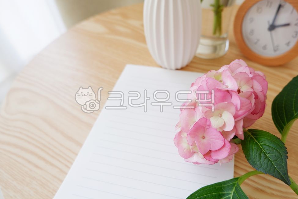 floral,pink,blossom,hydrangea flower,bouquet,hydrangea,vase,inside,room,flower,sunlight,writing pad,paper,flower flower,plant,letter,purple,wood,table