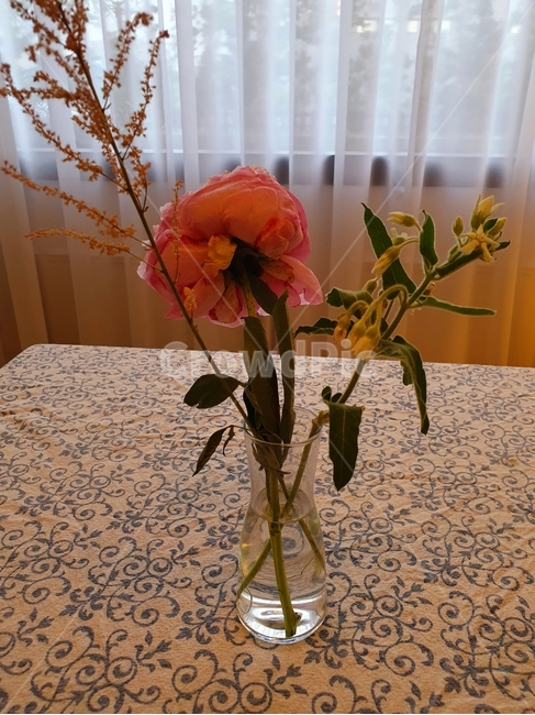 꽃,감성,카페,flower,화병