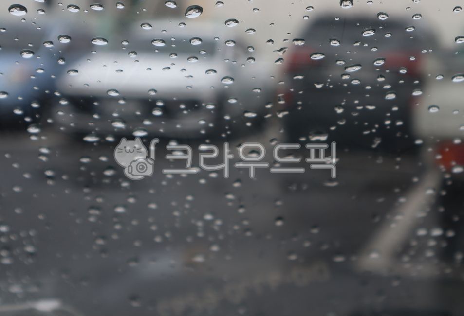 비,빗물,물방울,물,빗방울