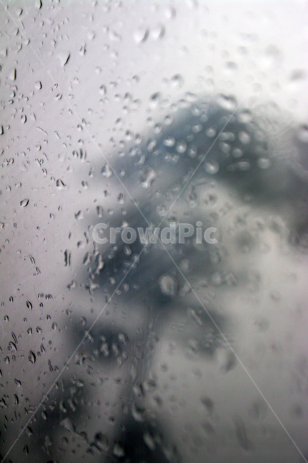 창,비,물방울,창문,유리,비,비오는날,rain,rainy