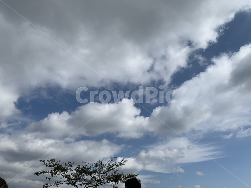 날씨,자연,제주도,sky,하늘,weather,cloud,적운,nature,예쁜하늘,구름