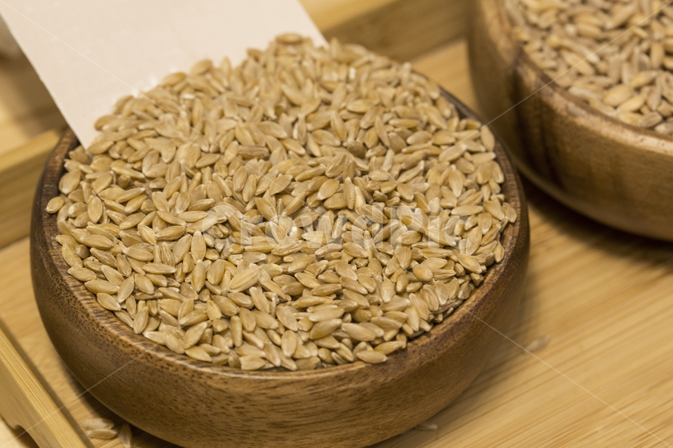밀,통밀,밀알,곡물,곡식,음식,잡곡,농작물,식재료,곡류,곡식,cereals