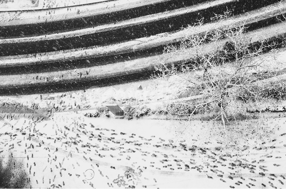 눈,겨울,도로,길,발자국,배경,색감,감성,필름,겨울,계절,winter,season