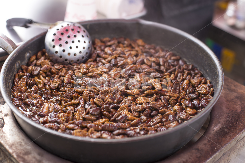 번데기,뻔데기,간식,식품,단백질,음식,영양,시장,국자,냄비,종이컵,길거리음식,음식,식재료,요리,food,cook,meal,dishes,food reserves