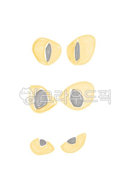 full moon,pet cat,cat,eyes,cats eyes