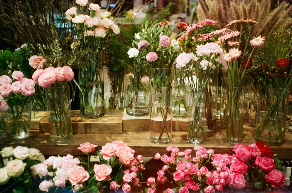 꽃,flower,색감,필름카메라,카페,꽃,flower
