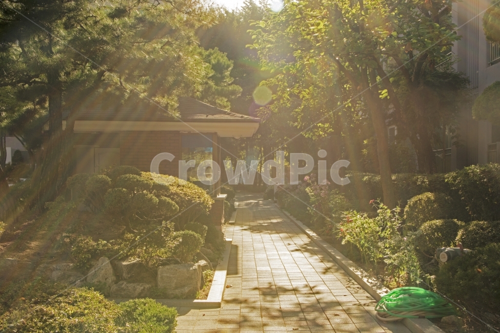 자연,건물,공원,가을,따듯함,환상,그리움,휴식,힐링,rest,relaxation,healing