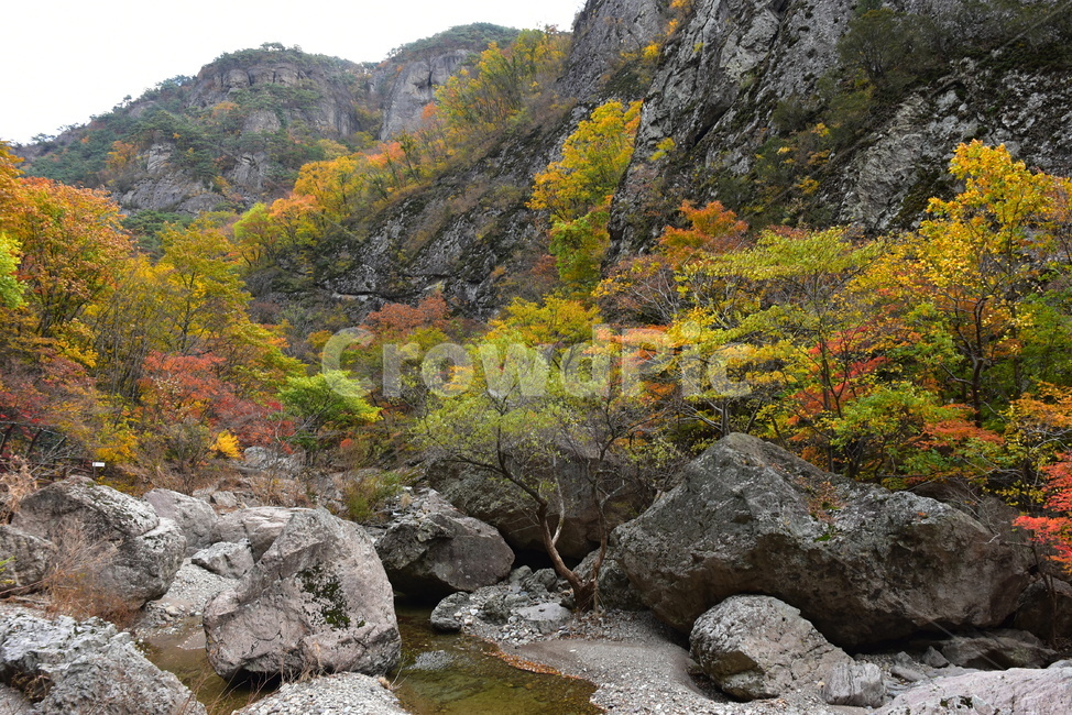 가을,단풍,풍경,울긋불긋,알록달록,형형색색,계절,시즌,아름다운,오색,주왕산,절골,계곡,비경,가을색,감성,힐링,가을,계절,fall,autumn,season,nature,자연,outdoors,옥외,water,물,stream,흐름,creek,작은 만
