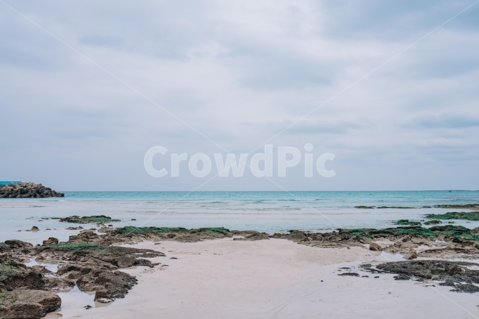 제주도,바다,겨울바다,월정리,파도,해변,제주,모래사장,모래,풍경,자연,korea,jeju,sea,wave,wintersea,자연,풍경,nature,landscape,한국자연풍경,한국자연경관,korea nature landscape,해변,바다,beach,sea,제주도,jeju,jeju island,water,물,shoreline,해안선,outdoors,옥외,ocean,대양,land,땅,coast,연안