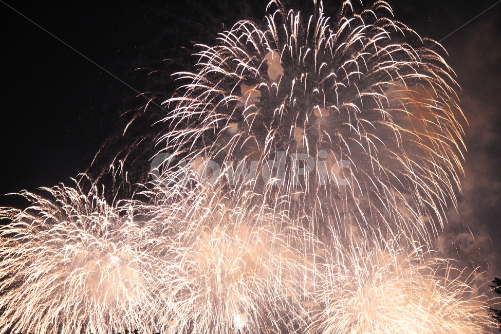 불꽃,불꽃놀이,불꽃축제,한강불꽃축제,야경,야경,밤,풍경,nightscape,night,landscape,축제,행사,festival,carnival,event,nature,자연,outdoors,옥외