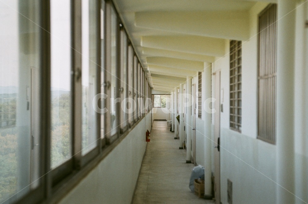 필름,필름카메라,감성,벽,아파트,감성,sensible,feeling,건축물,건물외관,exterior,building,structure,architecture,construction